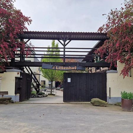Moderne Ferienwohnung Black Beauty Auf Idyllischem Reiterhof Naehe Burg Eltz Munstermaifeld ภายนอก รูปภาพ